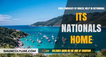 Brazil Embassy's Role in Repatriating Nationals: Assistance and Support Explained