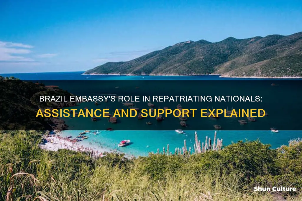 does embassy of brazil help in returning its nationals home
