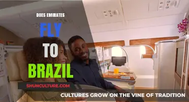 Emirates Flights to Brazil: Routes, Schedules, and Travel Tips