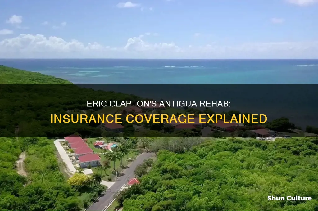 does eric clapton antigua rehab take insurance