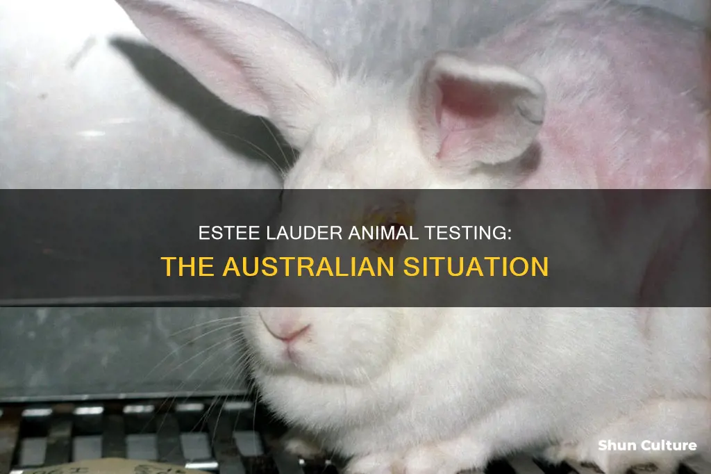 does estee lauder test on animals in australia