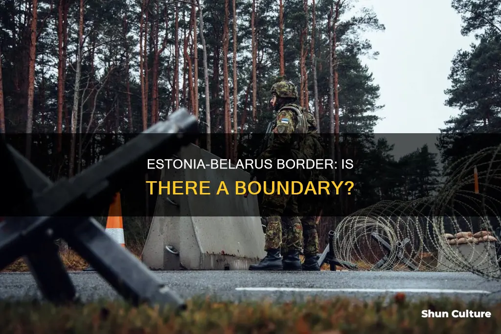 does estonia border belarus