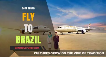 Does Etihad Airways Offer Flights to Brazil? A Comprehensive Guide