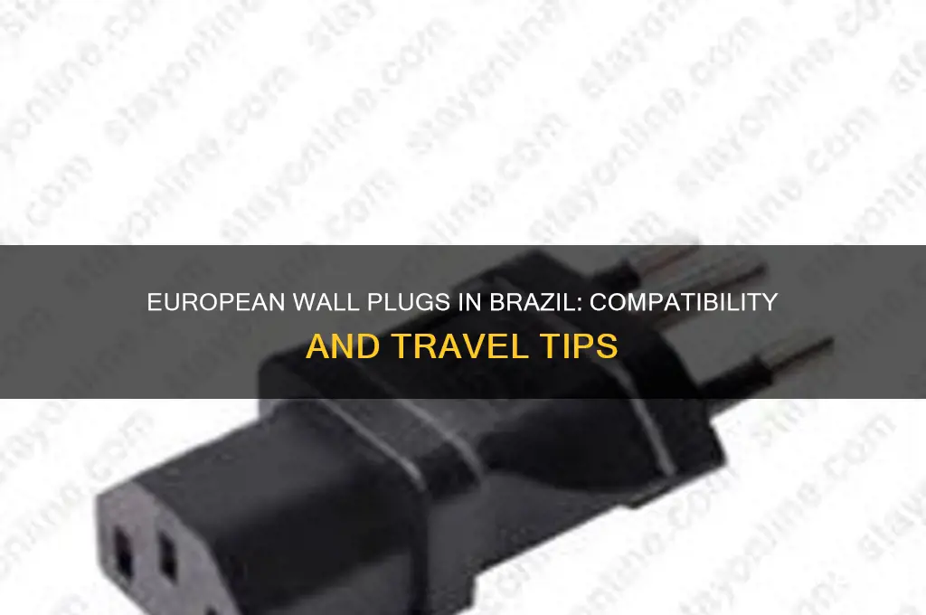 does european wall plug work in brazil