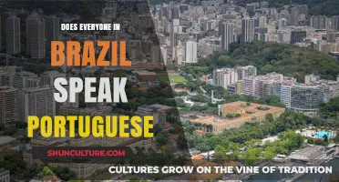 Does Everyone in Brazil Speak Portuguese? Unraveling the Language Myth