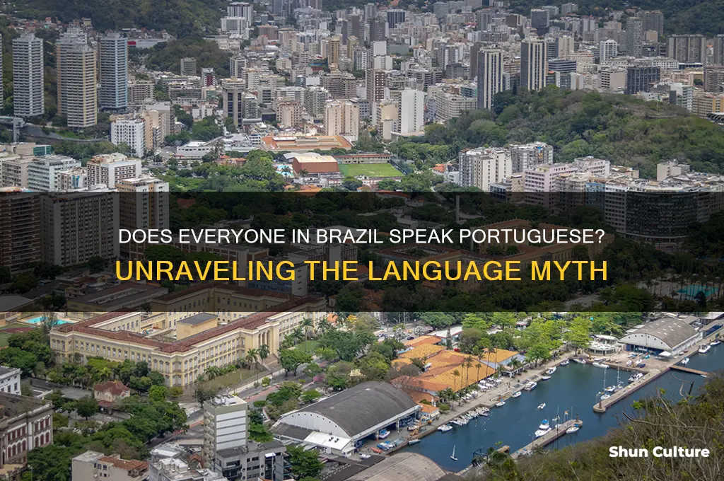 does everyone in brazil speak portuguese
