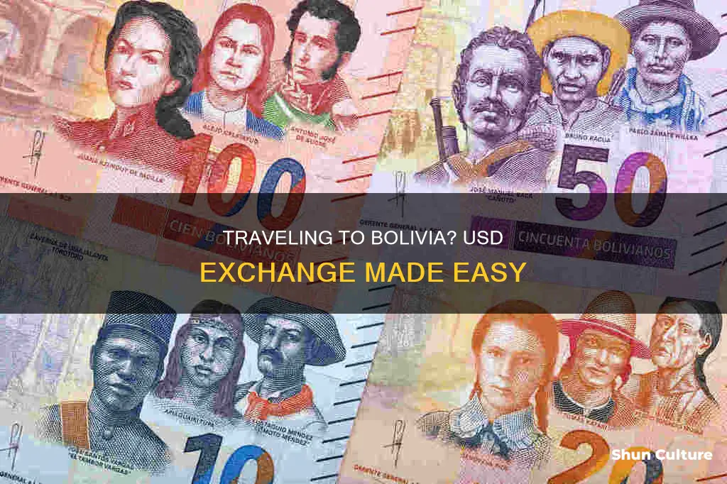 does everywhere accept usd in bolivia