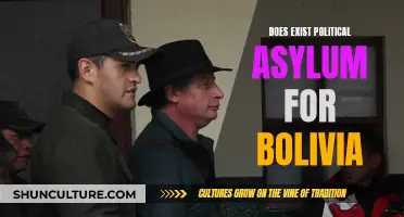 Seeking Political Asylum: Bolivia's Complex Reality