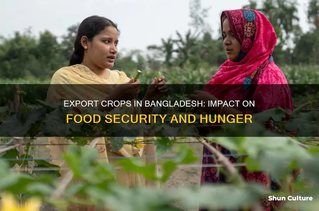 does export crops in bangladesh hunger