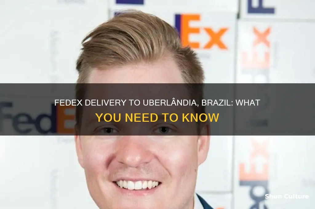 does fed ex deliver to uberlandia brazil