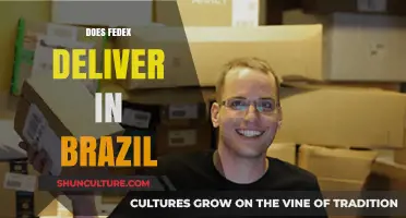 Does FedEx Deliver in Brazil? Exploring Shipping Options and Services