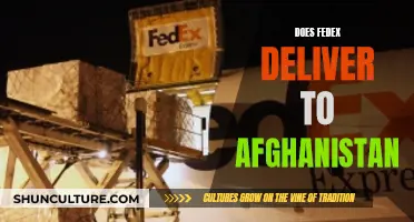FedEx's Global Reach: Delivering to Afghanistan's Doorstep