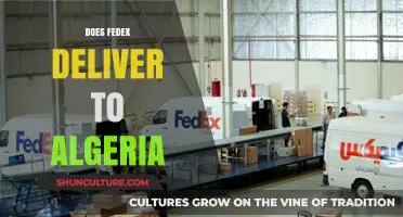 FedEx Delivery to Algeria: Availability, Services, and Shipping Options