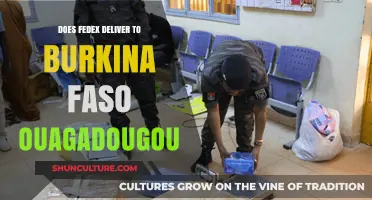 FedEx Delivery Services in Ouagadougou, Burkina Faso: A Comprehensive Guide