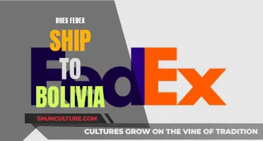 FedEx Shipping to Bolivia: What You Need to Know