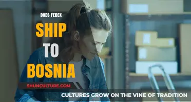 Does FedEx Deliver to Bosnia? Shipping Options and Services Explained