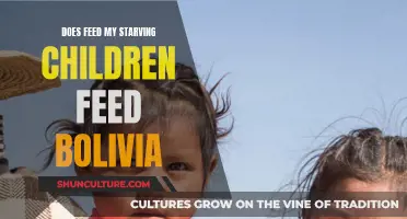 Starving Children in Bolivia: Does FMSC Help?