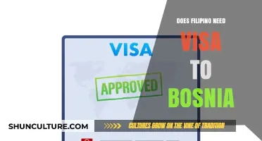 Do Filipinos Need a Visa to Visit Bosnia and Herzegovina?