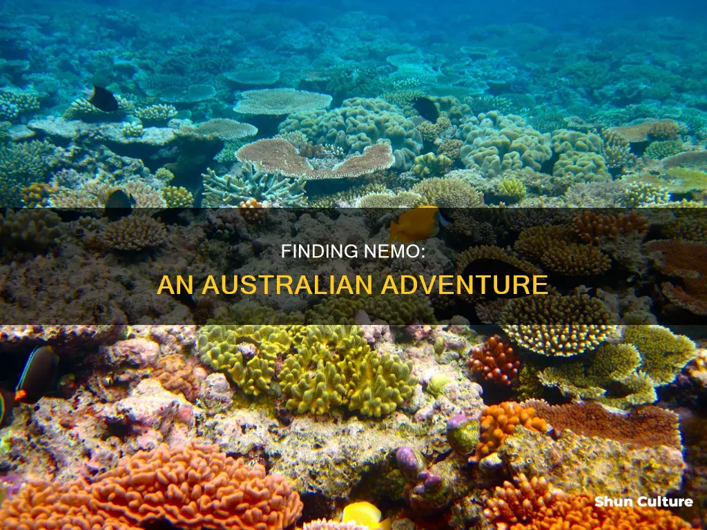 does finding nemo take place in australia