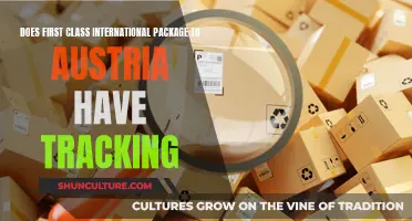 International First Class Package Tracking to Austria: Is It Possible?