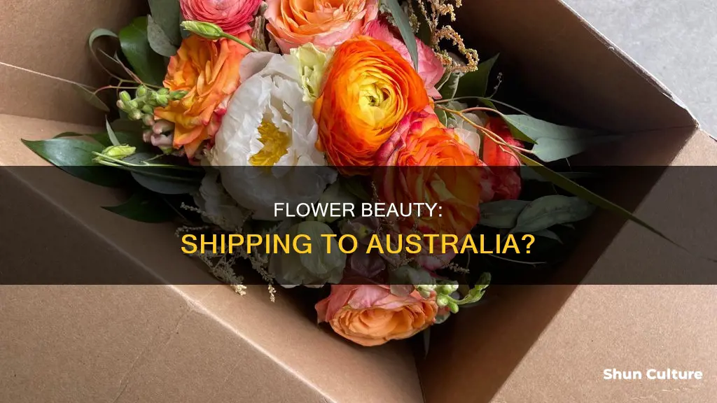 does flower beauty ship to australia