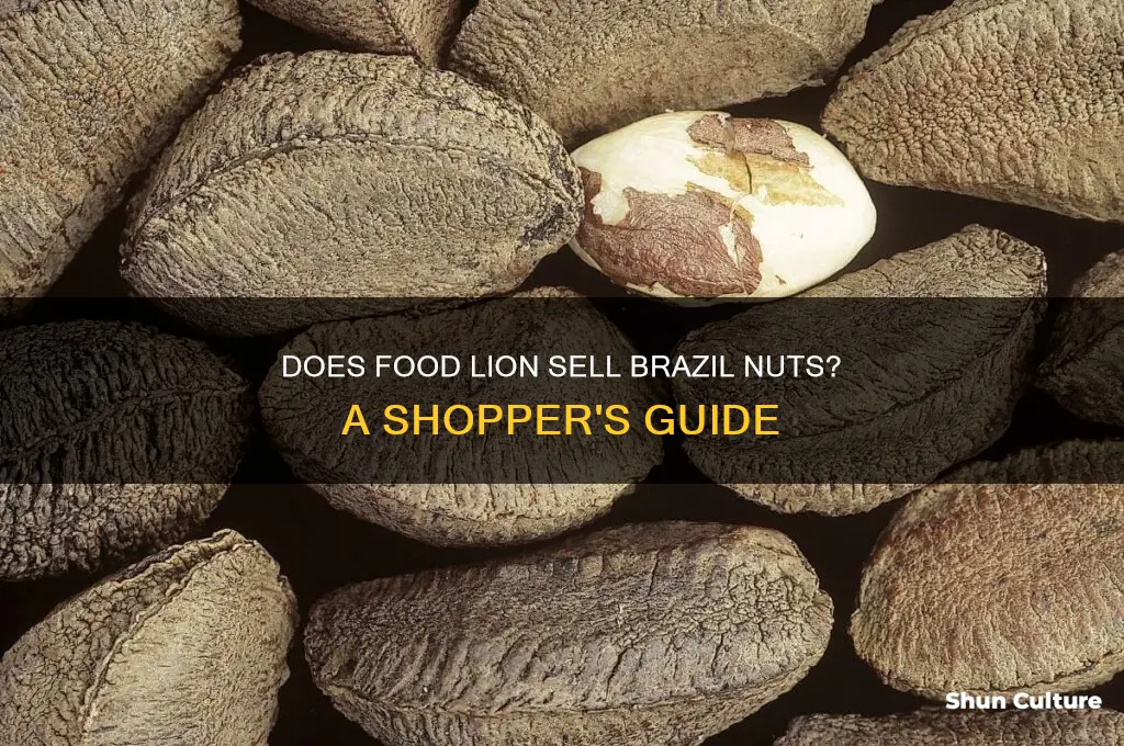 does food lion sell brazil nuts