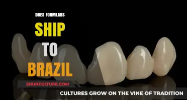 Does Formlabs Ship to Brazil? A Comprehensive Guide for Buyers