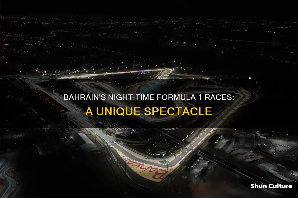 does formula 1 bahrain drive at night