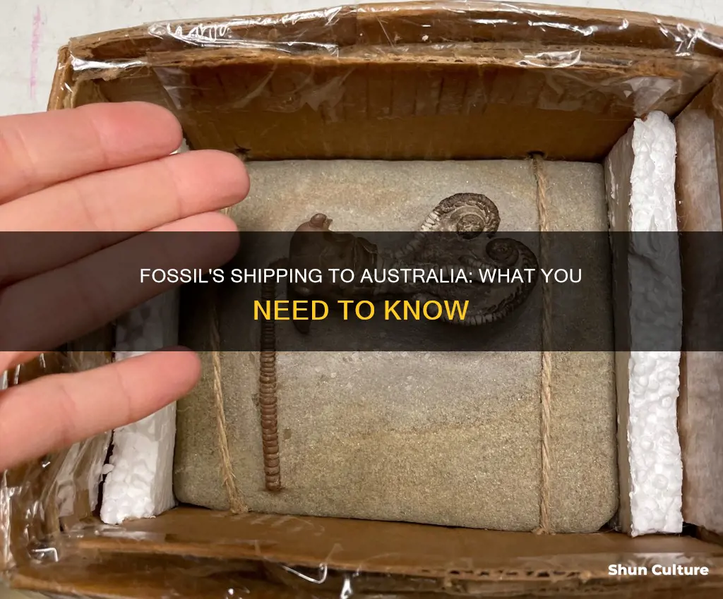 does fossil ship to australia