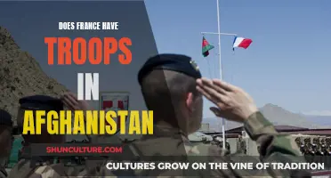 France's Military Presence in Afghanistan: Supporting Peace and Stability