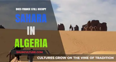 France's Legacy in Algeria: Is the Sahara Still Occupied?