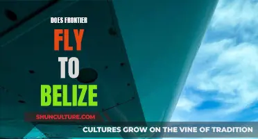 Frontier Airlines: Belize Flights and Information