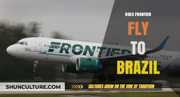 Does Frontier Airlines Offer Flights to Brazil? A Comprehensive Guide