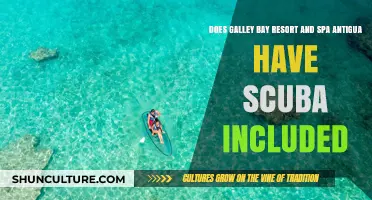 Scuba Diving at Galley Bay Resort & Spa Antigua: What's Included?