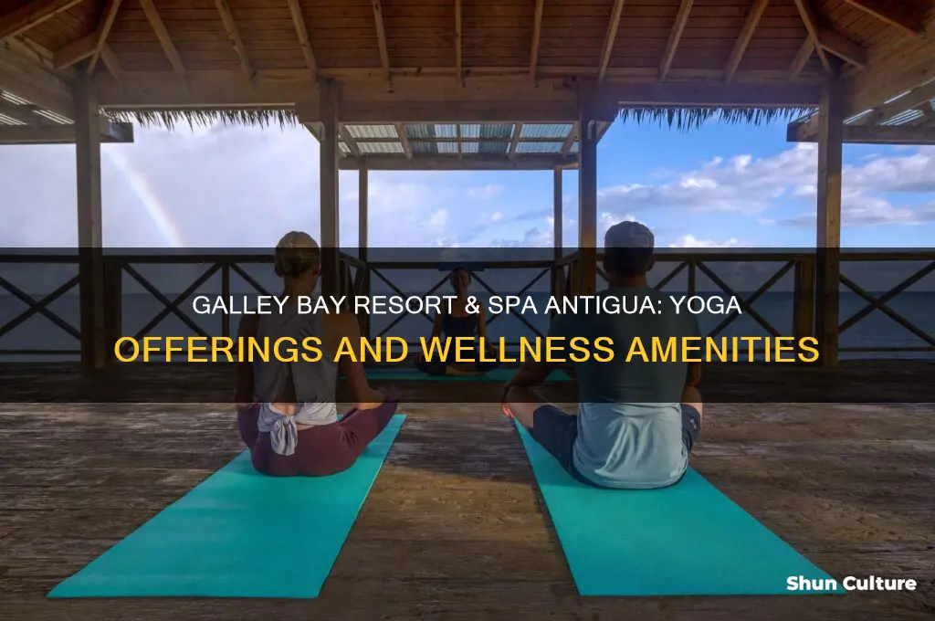 does galley bay resort and spa antigua have yoga