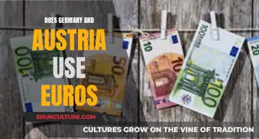 Exploring Austria and Germany's Euro Usage