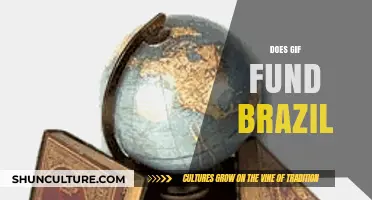 Does GIF Fund Brazil? Unraveling the Connection Between Memes and Economy