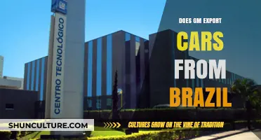 GM's Brazil Operations: Exporting Cars Globally or Local Market Focus?