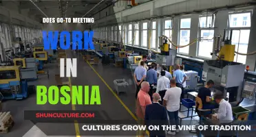 GoTo Meeting in Bosnia: Functionality, Challenges, and User Experience