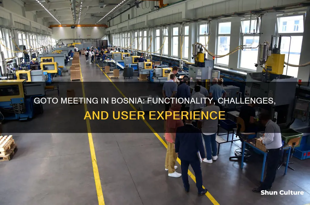 does go-to meeting work in bosnia