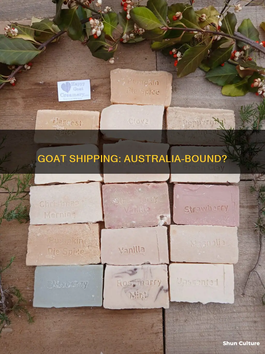 does goat ship to australia