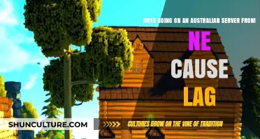 Does Switching to Australian Servers from NE Cause Lag?