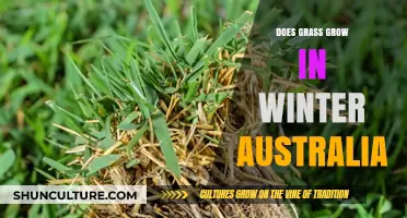 How to Grow Healthy Grass in Australian Winters