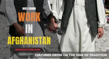 Grindr's Uncertain Future in Afghanistan: Navigating a Complex Digital Landscape