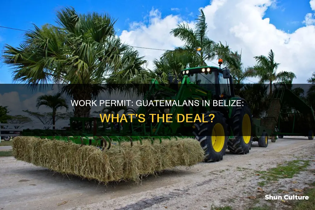 does guatemalan citizen need work permit for belize