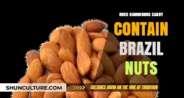 Hammond's Candy Ingredients: Brazil Nuts Included or Excluded?
