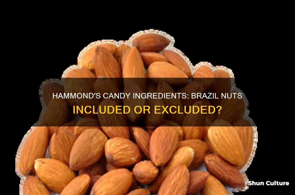 does hammonds candy contain brazil nuts