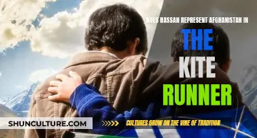 The Complexities of Hassan's Character: Reflecting Afghanistan's Social Landscape in "The Kite Runner
