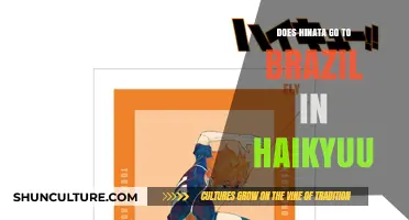 Hinata's Journey: Exploring Brazil in Haikyuu's Anime and Manga