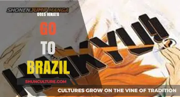 Hinata's Journey: Exploring the Truth About Her Trip to Brazil
